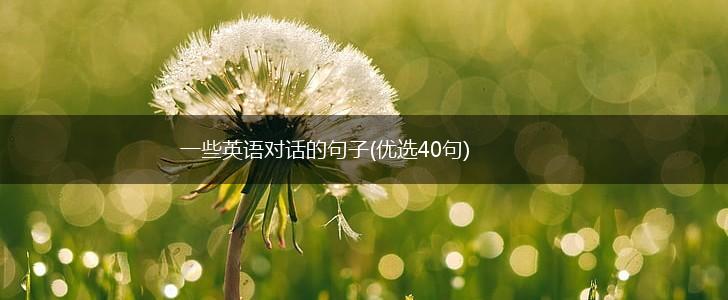 一些英语对话的句子(优选40句),第1张