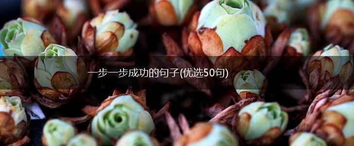 一步一步成功的句子(优选50句),第1张