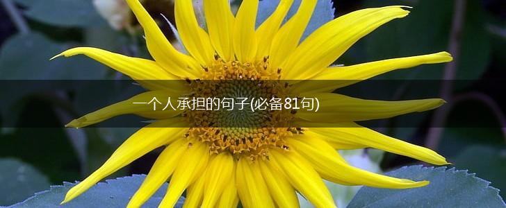一个人承担的句子(必备81句),第1张