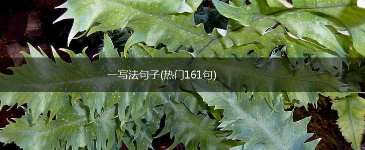 一写法句子(热门161句),第1张