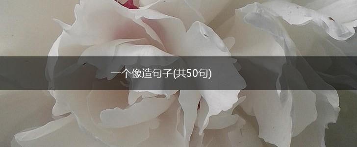 一个像造句子(共50句),第1张
