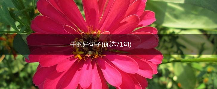 一千的好句子(优选71句),第1张