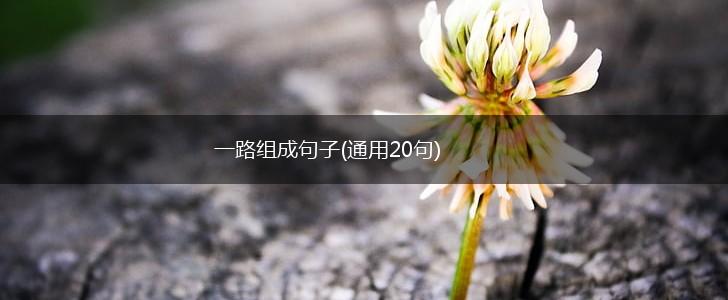 一路组成句子(通用20句),第1张