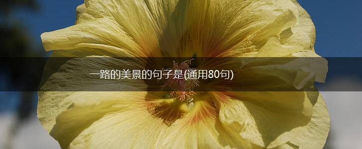 一路的美景的句子是(通用80句),第1张