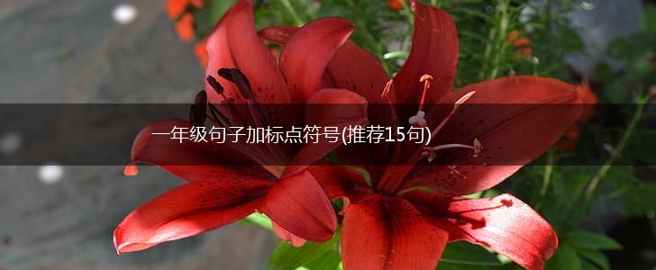 一年级句子加标点符号(推荐15句),第1张