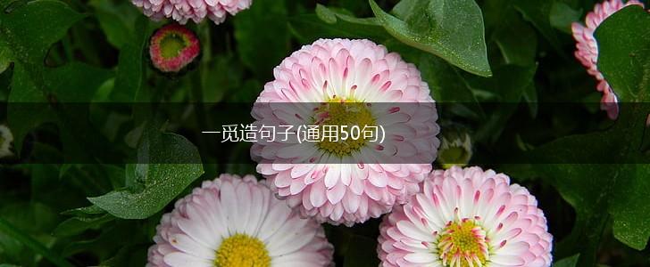 一觅造句子(通用50句),第1张