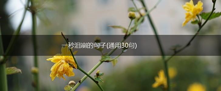 一秒泪崩的句子(通用30句),第1张