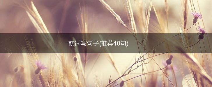 一就词写句子(推荐40句),第1张
