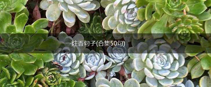 一炷香句子(合集50句),第1张