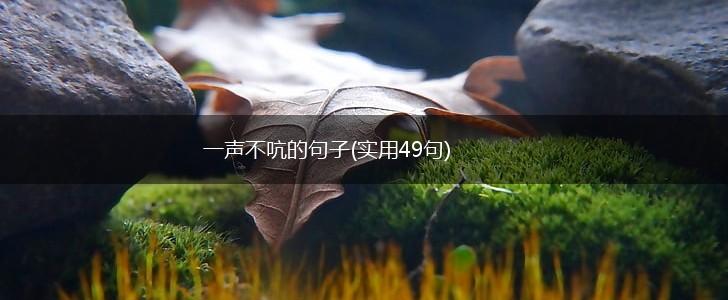一声不吭的句子(实用49句),第1张