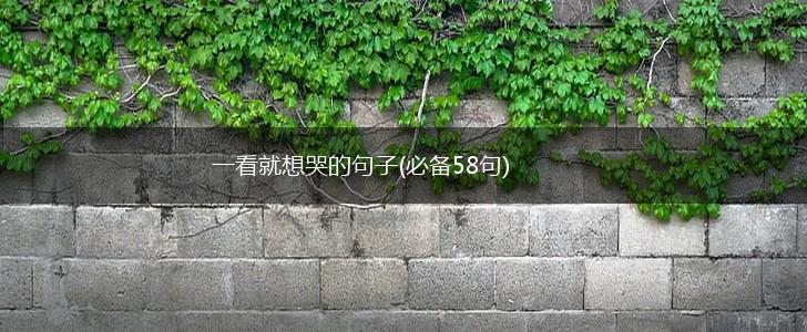一看就想哭的句子(必备58句),第1张