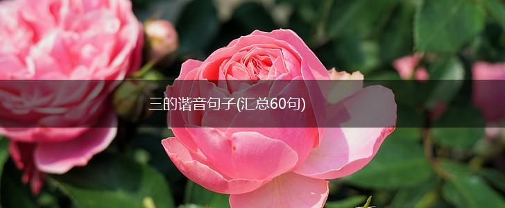 三的谐音句子(汇总60句),第1张