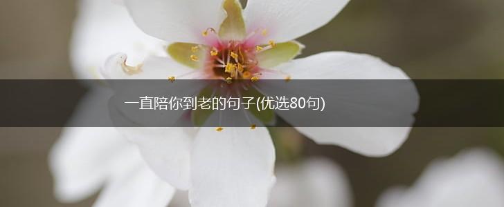一直陪你到老的句子(优选80句),第1张