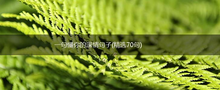 一句懂你的深情句子(精选70句),第1张
