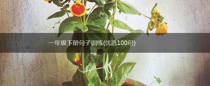 一年级下册句子训练(优选100句),第1张
