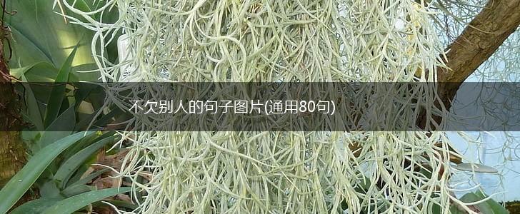 不欠别人的句子图片(通用80句),第1张