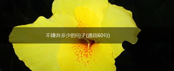 不嫌弃多少的句子(通用60句),第1张