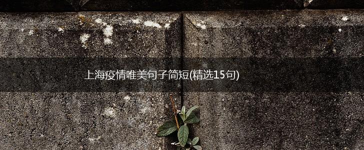 上海疫情唯美句子简短(精选15句),第1张