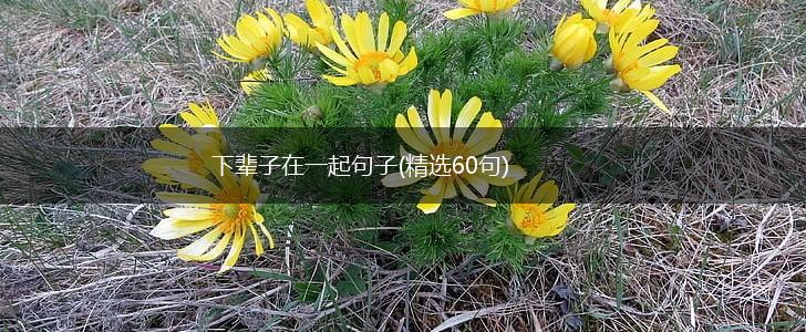 下辈子在一起句子(精选60句),第1张