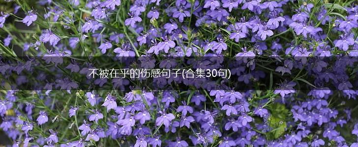 不被在乎的伤感句子(合集30句),第1张