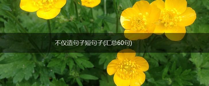 不仅造句子短句子(汇总60句),第1张