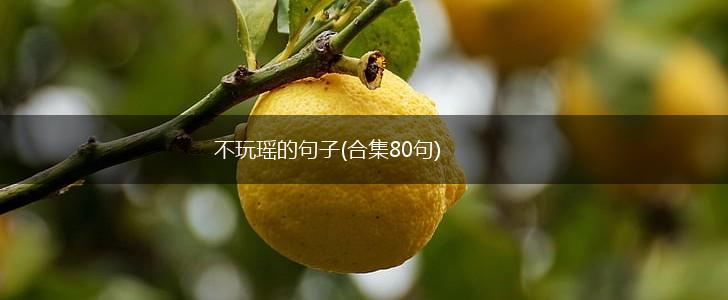 不玩瑶的句子(合集80句),第1张