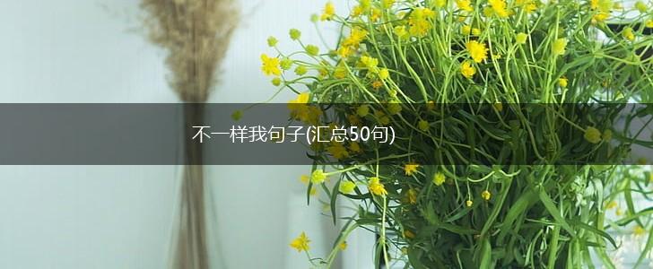 不一样我句子(汇总50句),第1张