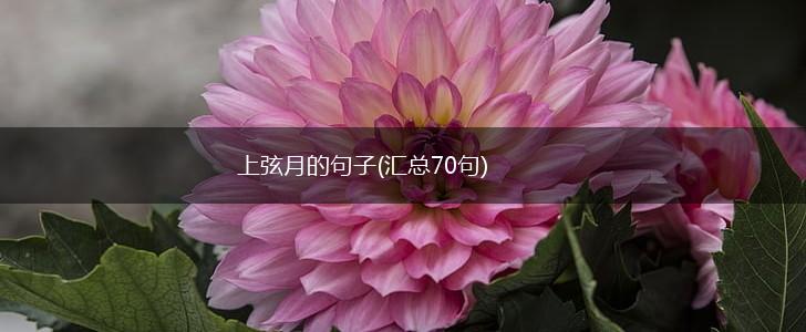 上弦月的句子(汇总70句),第1张
