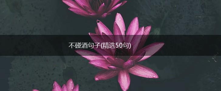 不碰酒句子(精选50句),第1张