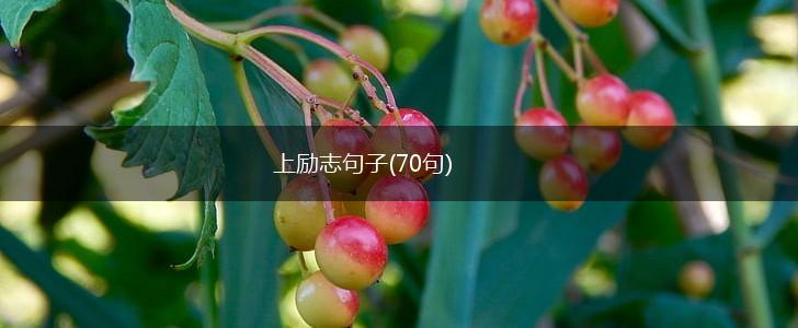 上励志句子(70句),第1张