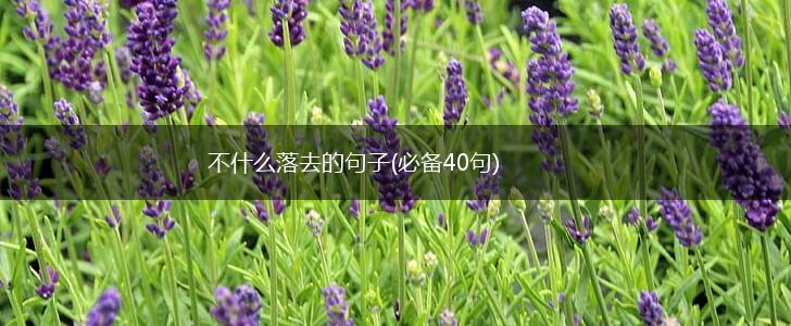 不什么落去的句子(必备40句),第1张