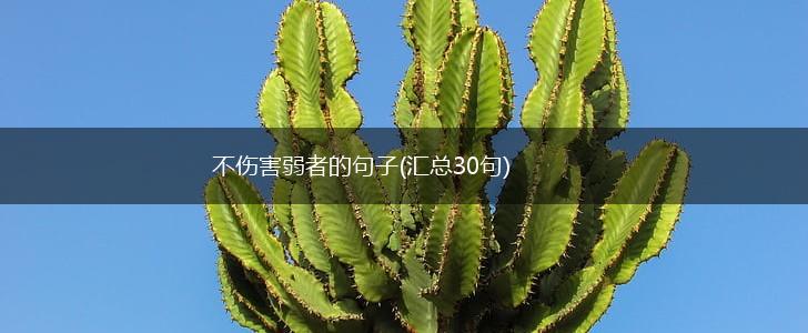 不伤害弱者的句子(汇总30句),第1张