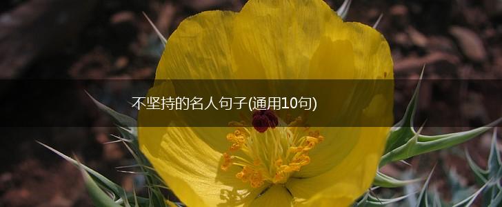 不坚持的名人句子(通用10句),第1张