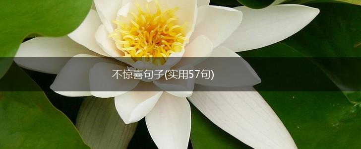 不惊喜句子(实用57句),第1张