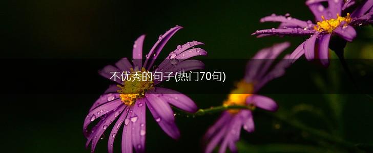 不优秀的句子(热门70句),第1张