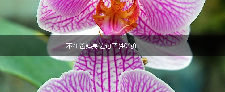 不在爸妈身边句子(40句),第1张
