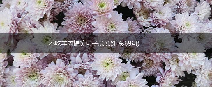 不吃羊肉搞笑句子说说(汇总69句),第1张