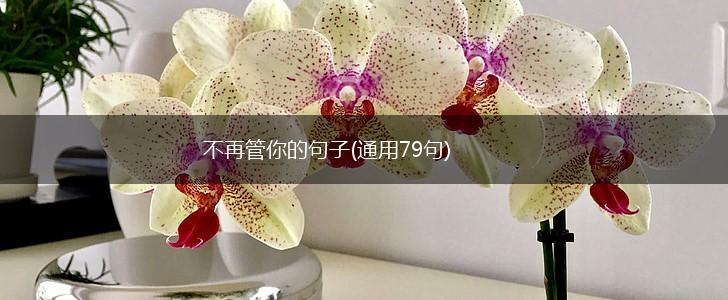 不再管你的句子(通用79句),第1张