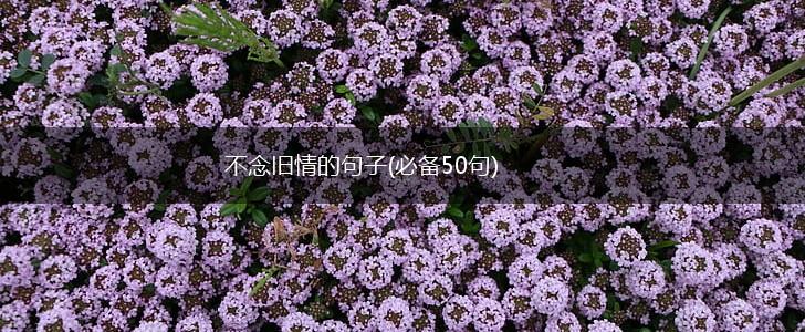 不念旧情的句子(必备50句),第1张
