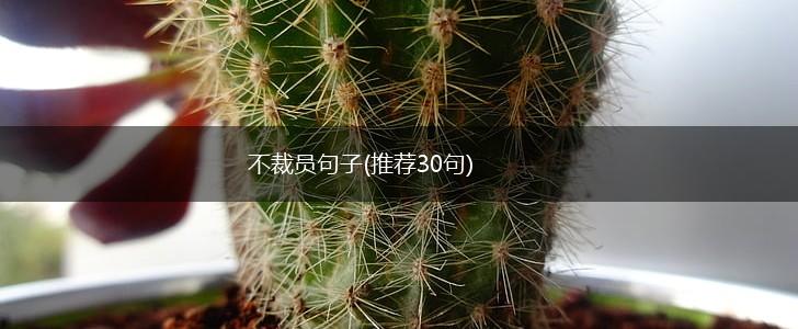不裁员句子(推荐30句),第1张