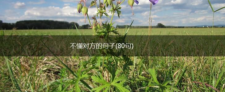 不懂对方的句子(80句),第1张