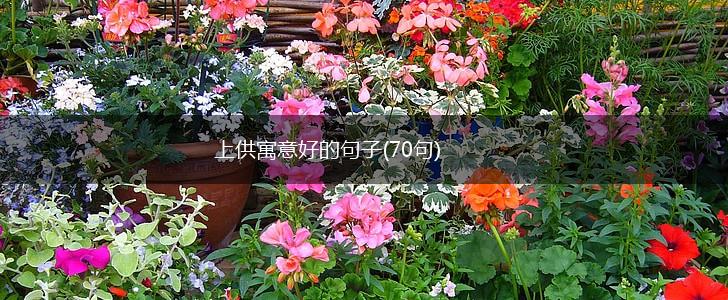 上供寓意好的句子(70句),第1张