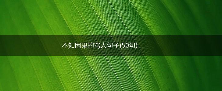 不知因果的骂人句子(50句),第1张