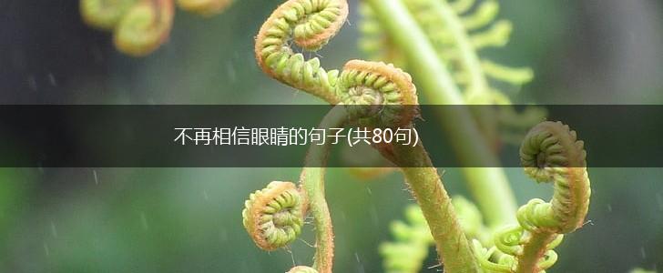 不再相信眼睛的句子(共80句),第1张