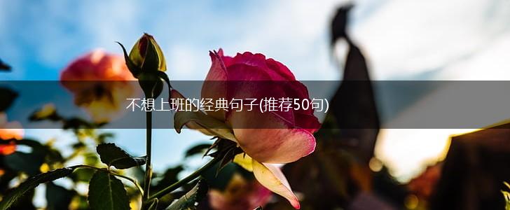 不想上班的经典句子(推荐50句),第1张