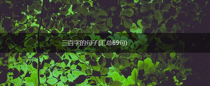 三百字的句子(汇总69句),第1张