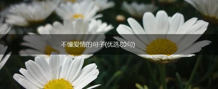 不懂爱情的句子(优选80句),第1张