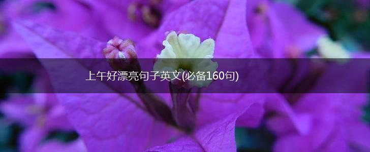 上午好漂亮句子英文(必备160句),第1张