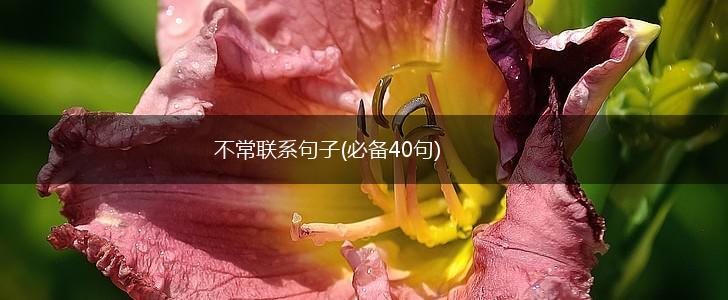 不常联系句子(必备40句),第1张