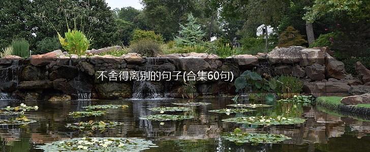 不舍得离别的句子(合集60句),第1张